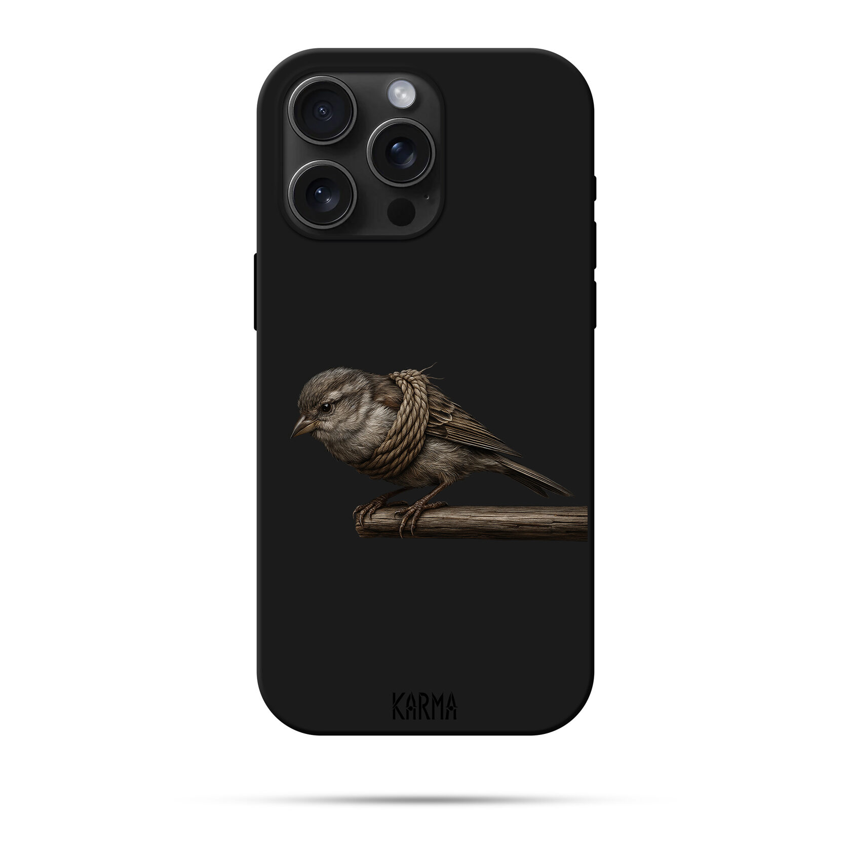 Чохол для iPhone Зв'язаний птах